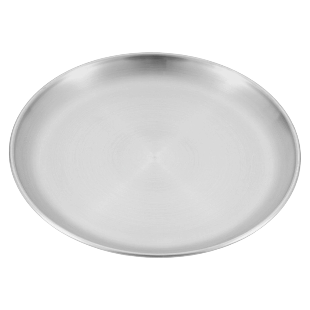 Camping Cooking Plate - 1 PCS Stainless Steel Plates For