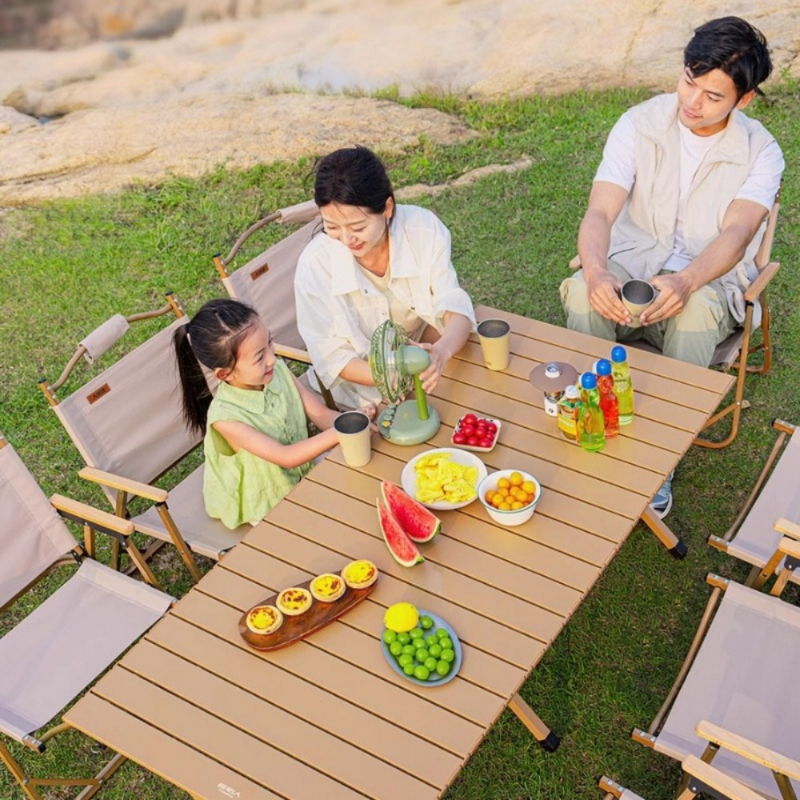 Heavy-Duty Carbon Steel Campin - Camping Cooking Table Foldable のレビューと価格
