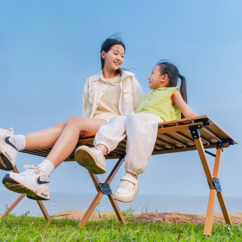 Heavy-Duty Carbon Steel Campin - Camping Cooking Table Foldable のレビューと価格