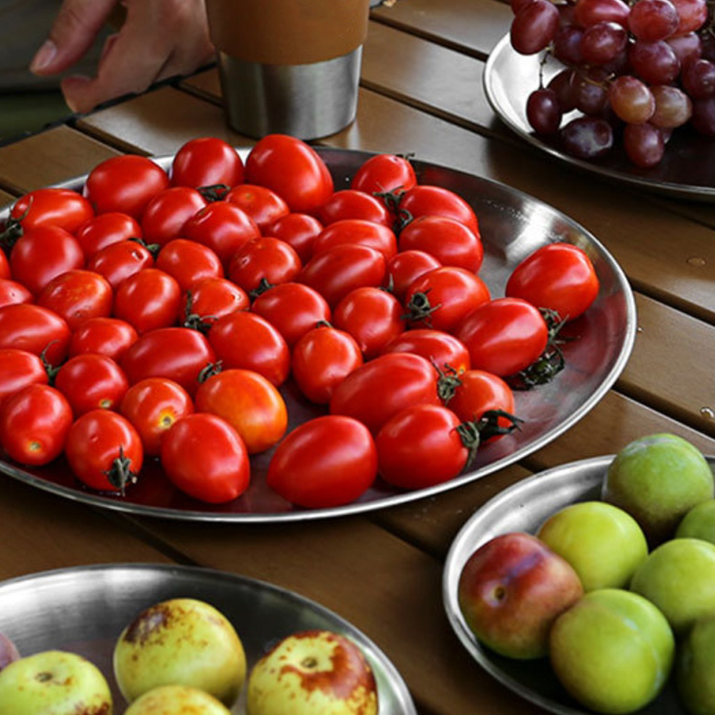 1 PCS  Stainless Steel  Plates - Camping Cooking Plate のレビューと価格